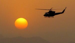 griffon jelwar sunset three