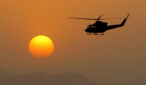 griffon jelwar sunset three