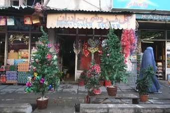 christmas tree in afghanistan